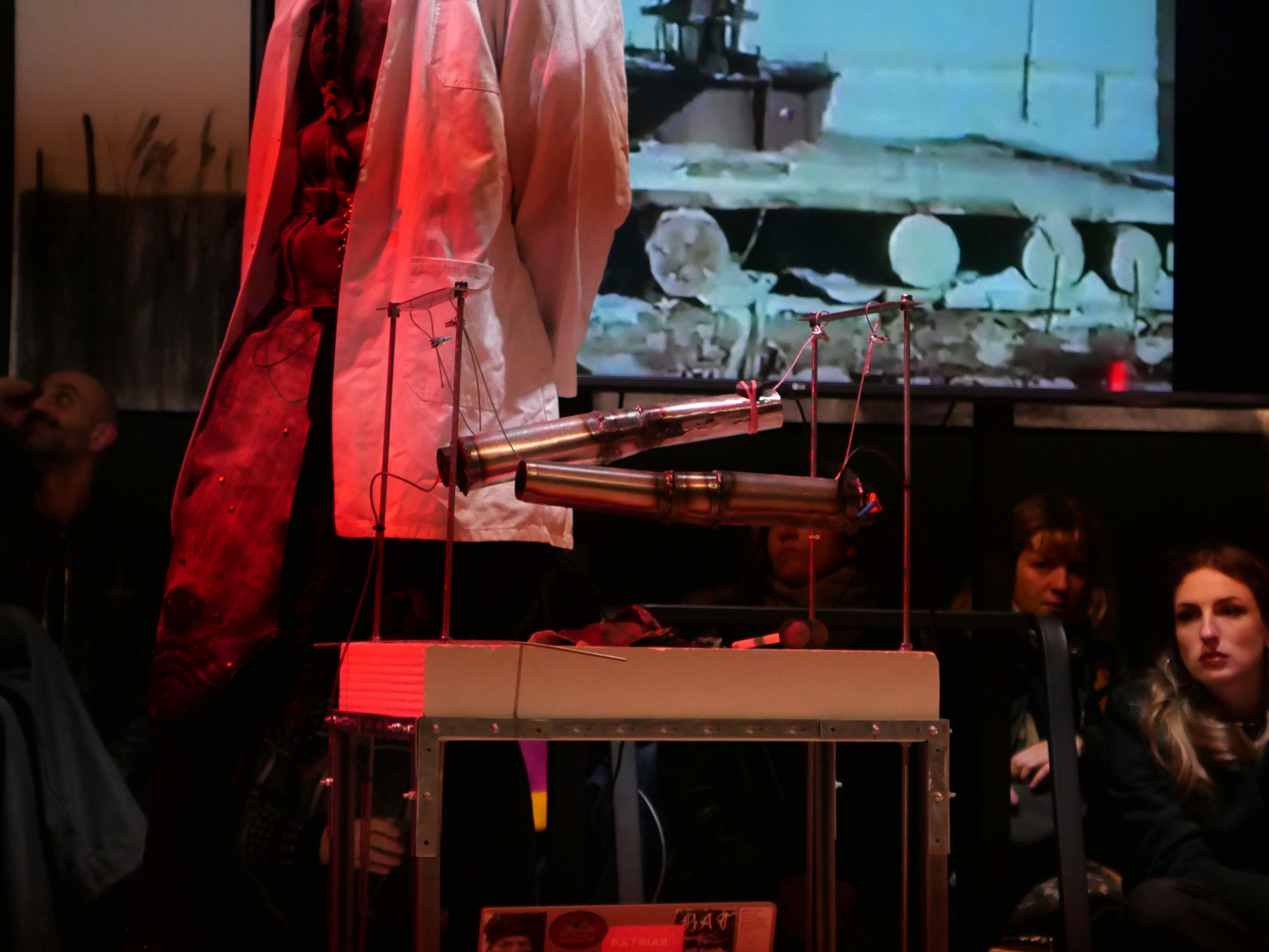 the burial of a brown goose - Sonic Acts x Framer Framed. installation and performance