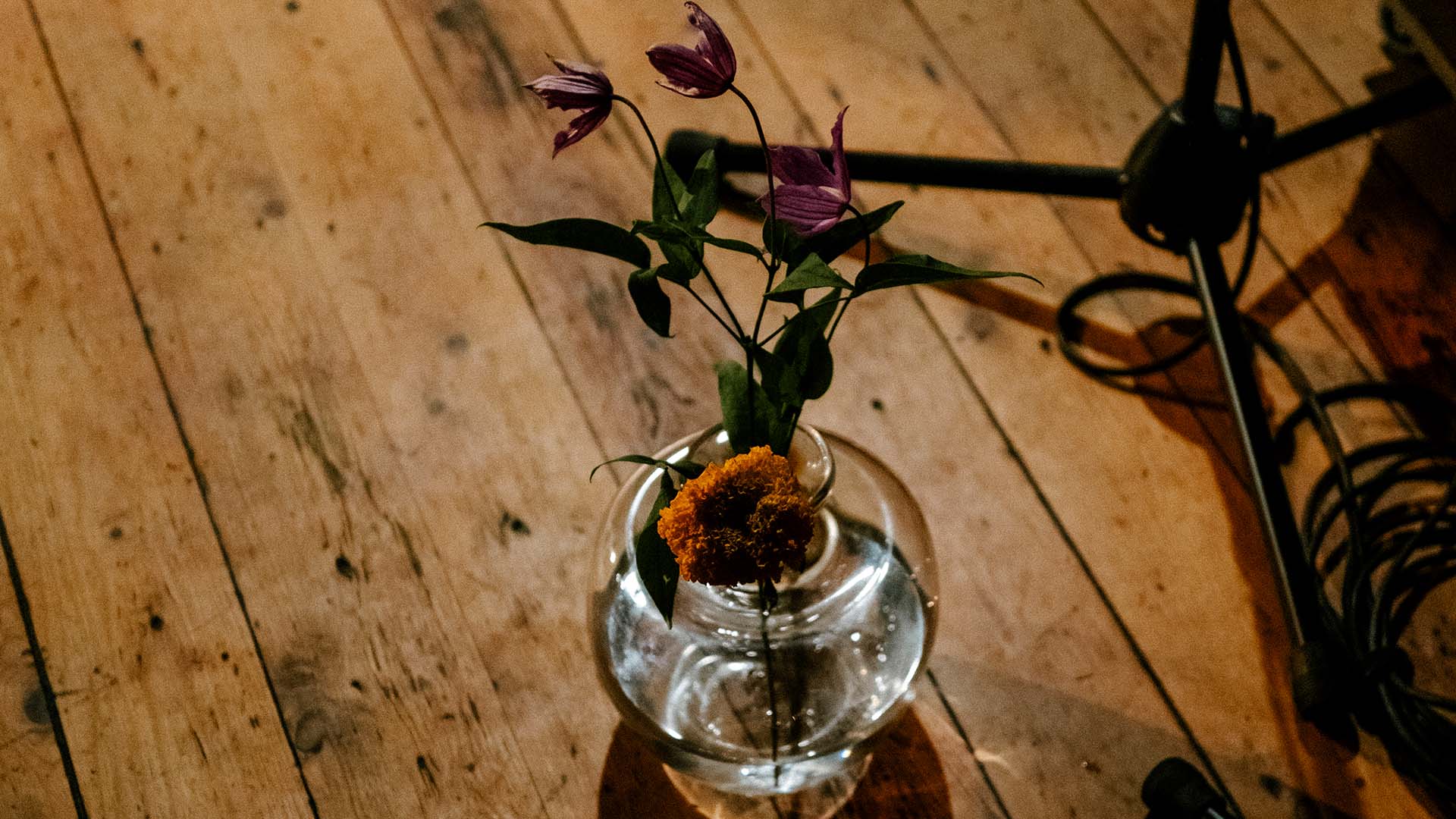 everywhere nowhere but rooted at Perdu
